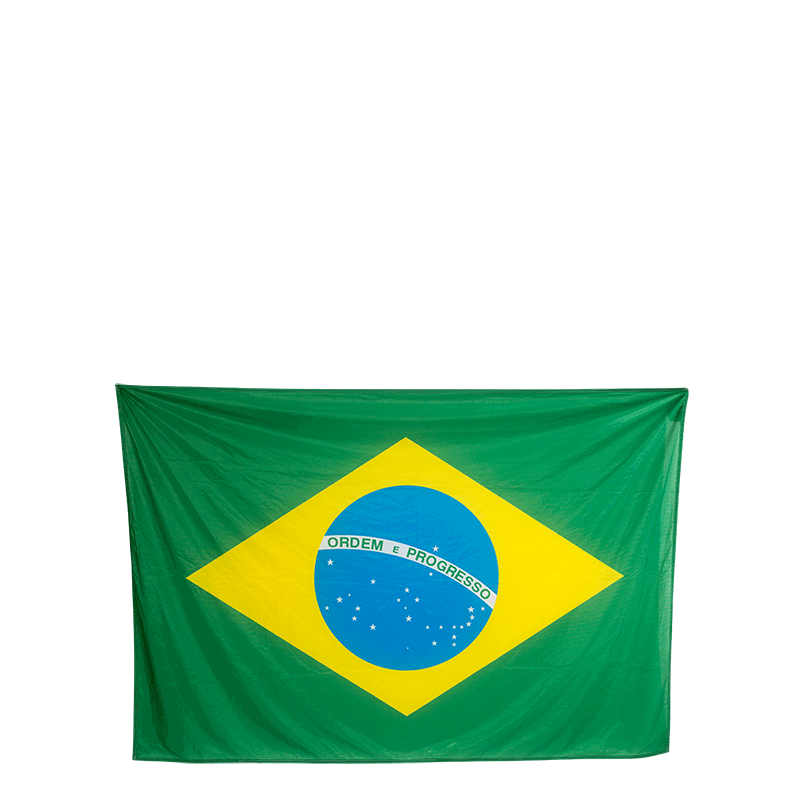 Fahne Brasilien 120 x 180 cm