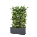Haie de bambou artificielle l 100 cm H 150 cm avec pot