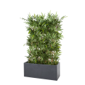 Haie de bambou artificielle l 100 cm H 150 cm avec pot