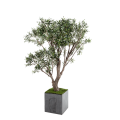 Künstlicher Olivenbaum H 185 cm mit Topf