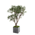 Künstlicher Olivenbaum H 185 cm mit Topf