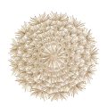 Telleruntersetzer Goldfrost Ø 36,5 cm