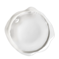Assiettes Artic
