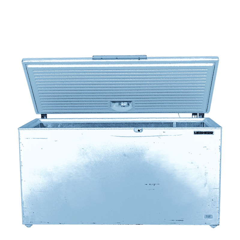 Tiefkühler 560 L : 220 V