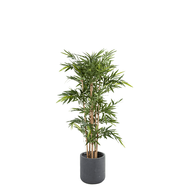 Künstlicher Bambus H 180 cm mit Topf