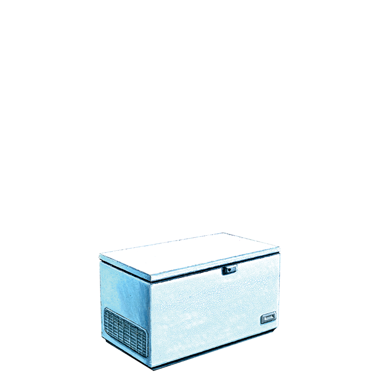 Tiefkühler 560 L : 220 V