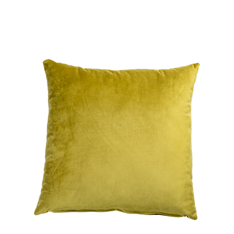 Coussin Juliette vert 40 x 40 cm