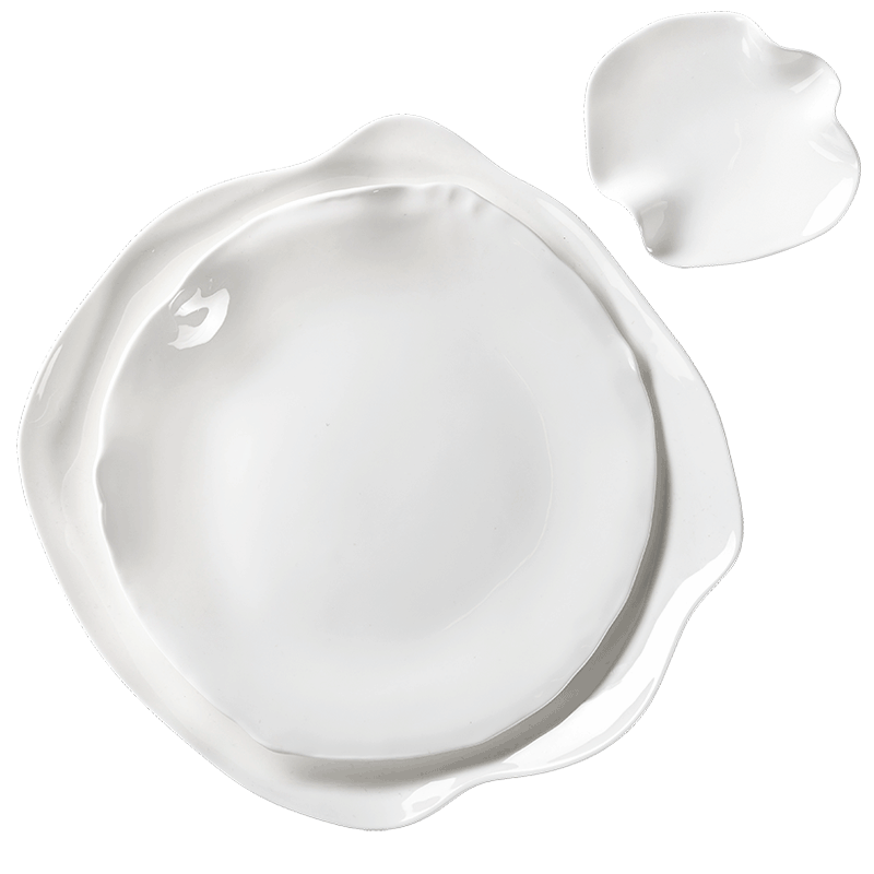Assiettes Artic