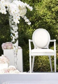 Hochzeitsdekorations Miete